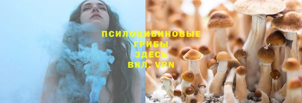 дурь Братск