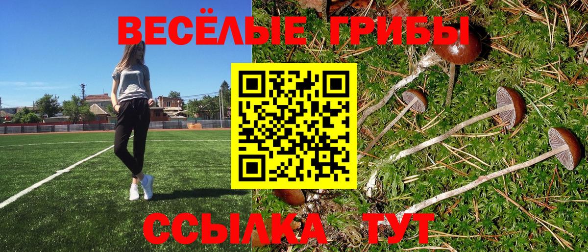 Галлюциногенные грибы MAGIC MUSHROOMS  Балахна  Псилоцибиновые грибы Psilocybe 