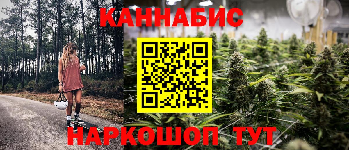 Конопля конопля  Канабис Ganja  Балахна 